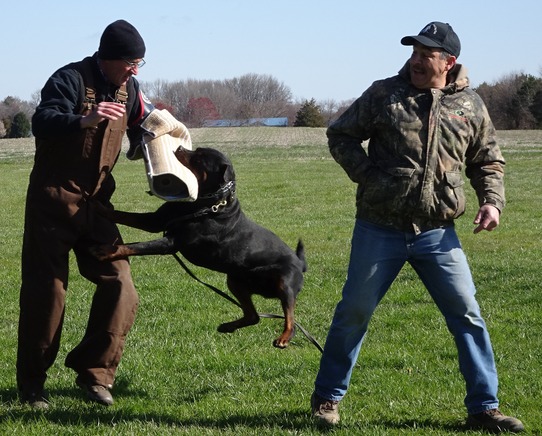 famous field trial dog trainers in pa